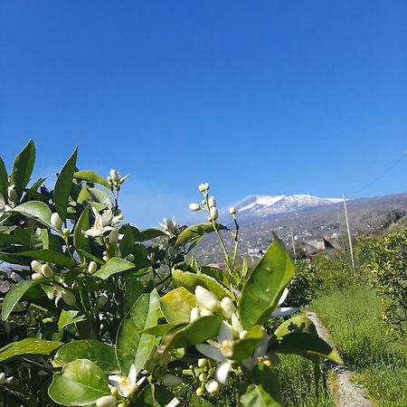 Vila Zagara Mascali Exteriér fotografie