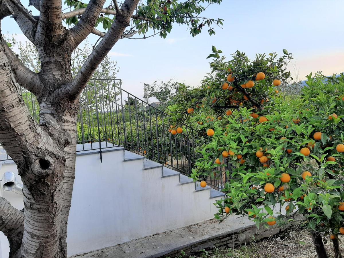 Vila Zagara Mascali Exteriér fotografie