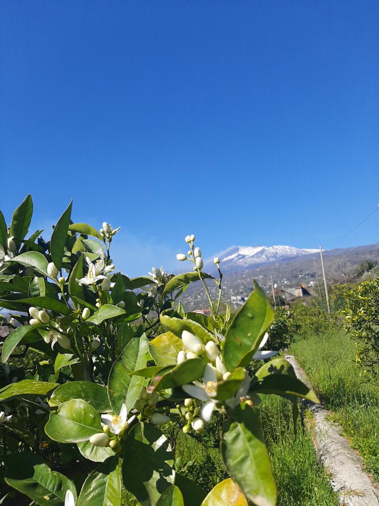 Vila Zagara Mascali Exteriér fotografie
